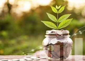 Aile Ekonomisini Güvence Altına Almak İçin 5 İpucu Aile Ekonomisini Güvence Altına Almak İçin 5 İpucu