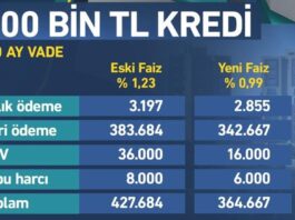 2025 Finansal Kredi Oranları Hakkında Bilinmesi Gerekenler