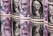 16 Ocak 2025 Dolar ve Euro Fiyatları 16-ocak-2025-dolar-ve-euro-fiyatlar