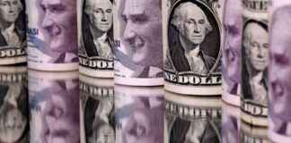 16 Ocak 2025 Dolar ve Euro Fiyatları 16-ocak-2025-dolar-ve-euro-fiyatlar