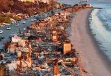 Insurance Startup in Spotlight as LA Wildfires Drive Demand nsurance-startup-in-spotlight-as-la-wildfires-drive-demand