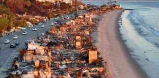 Insurance Startup in Spotlight as LA Wildfires Drive Demand nsurance-startup-in-spotlight-as-la-wildfires-drive-demand