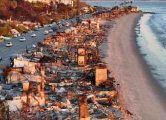 Insurance Startup in Spotlight as LA Wildfires Drive Demand nsurance-startup-in-spotlight-as-la-wildfires-drive-demand