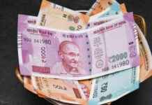 Tax-saving Instruments: Benefits of PPF, NPS, NSC Under New Tax Regime tax-saving-nstruments-benefits-of-ppf-nps-nsc-under-new-tax-regime