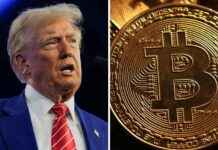 Trump ve bitcoin: BlackRock’tan kripto para için tarihi bir yıl daha öngörülüyor. trump-ve-bitcoin-blackrocktan-kripto-para-iin-tarihi-bir-yl-daha-ngrlyor