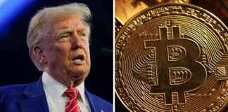Trump ve bitcoin: BlackRock’tan kripto para için tarihi bir yıl daha öngörülüyor. trump-ve-bitcoin-blackrocktan-kripto-para-iin-tarihi-bir-yl-daha-ngrlyor