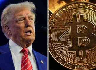 Trump ve bitcoin: BlackRock’tan kripto para için tarihi bir yıl daha öngörülüyor. trump-ve-bitcoin-blackrocktan-kripto-para-iin-tarihi-bir-yl-daha-ngrlyor