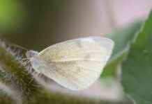 Buket Aydın Kredi Kartı İle Alışverişte Tasarrufun Yolları