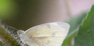 Buket Aydın Kredi Kartı İle Alışverişte Tasarrufun Yolları