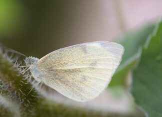 Buket Aydın Kredi Kartı İle Alışverişte Tasarrufun Yolları