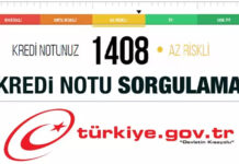 Kredi Notu Öğrenme Yolları: Kolay ve Hızlı Adımlar Neler? Kredi Notu Öğrenme Yolları