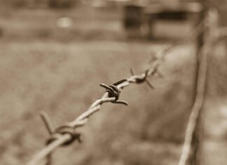 Kredi Kartı Limit Arttırma Nasıl Olur? Etkili ve Kolay Yöntemler