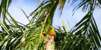 Yapı Kredi ATM Den Günlük Para Çekme Limiti Nedir? Öğrenin!