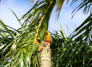 Yapı Kredi ATM Den Günlük Para Çekme Limiti Nedir? Öğrenin!
