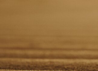 Yapı Kredi Emekli Promosyonu Ne Kadar? Avantajları ve İpuçları