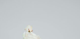 Koç Holding Yapı Kredi ile Geleceğin Finans Dünyasını Keşfedin