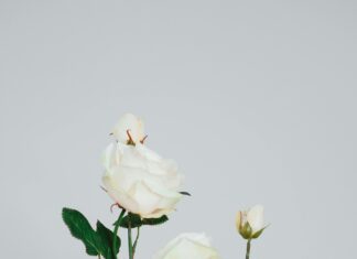 Koç Holding Yapı Kredi ile Geleceğin Finans Dünyasını Keşfedin