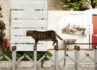 Yüksek Öğrenim Kredi Ve Yurtlar Kurumu Genel Müdürlüğü Hakkında Merak Edilenler