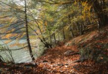 En Yakın Yapı Kredi Bankası Yol Tarifi: Kolay Ve Hızlı Ulaşım Rehberi