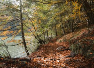 En Yakın Yapı Kredi Bankası Yol Tarifi: Kolay Ve Hızlı Ulaşım Rehberi