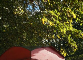 Kredi Kartına Taksitle Telefon Almanın Şaşırtıcı Avantajları Nelerdir?