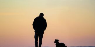 Kobi Kredi Hesaplama: En Avantajlı Krediyi Nasıl Bulursunuz?