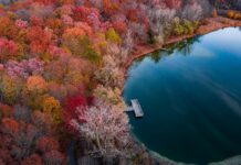 Kredi Kartından Altın Alınır Mı? Şaşırtan Gerçekler ve İpuçları