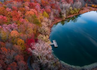 Kredi Kartından Altın Alınır Mı? Şaşırtan Gerçekler ve İpuçları