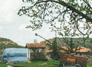 Tarım Kredi Kooperatifi Katalog: En İyi Ürünler Ve Fırsatlar