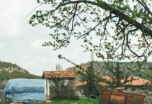 Tarım Kredi Kooperatifi Fiyat Listesi: En Güncel ve Avantajlı Fiyatlar!