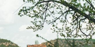 Tarım Kredi Kooperatifi Fiyat Listesi: En Güncel ve Avantajlı Fiyatlar!