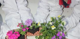 Yapı Kredi Eğitim Kampanyası İle Başarıyı Yakalamanın Sırları