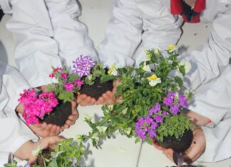 Yapı Kredi Eğitim Kampanyası İle Başarıyı Yakalamanın Sırları