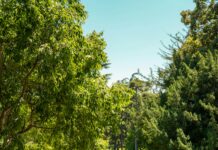 Anında Kredi Kartı Veren Bankalar: Hemen Onay Almanın Sırları