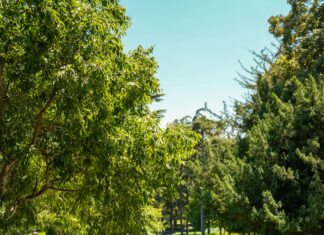 Anında Kredi Kartı Veren Bankalar: Hemen Onay Almanın Sırları