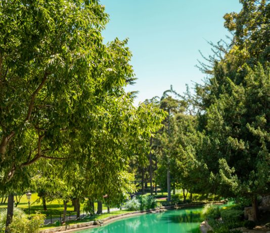 Anında Kredi Kartı Veren Bankalar: Hemen Onay Almanın Sırları