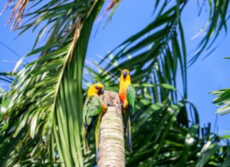 Anında Kredi ile Hemen Para Sahibi Olmanın En Etkili Yolları!