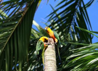 Yapı Kredi Günlük Para Çekme Limiti Nedir? Şaşırtan Detaylar!