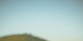 Tarım Kredi Zeytinyağı Neden Sağlıklı ve Lezzetli Tercih?