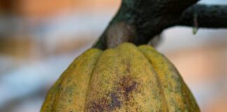 Kredi Kartından IBAN’a Para Gönderme Nasıl Kolayca Yapılır?