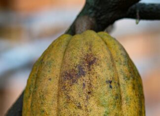 Kredi Kartından IBAN’a Para Gönderme Nasıl Kolayca Yapılır?