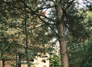 Vakıfbank Kredi Başvurusu Nasıl Yapılır? Kolay ve Hızlı Rehber