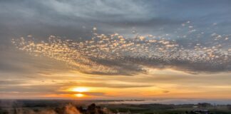 Kredi Kartıyla Altın Alma: En İyi Yöntemler ve Püf Noktaları