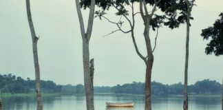 Teb 0 Faizli Kredi İle Hayallerinizi Gerçekleştirin! Fırsatlar Burada