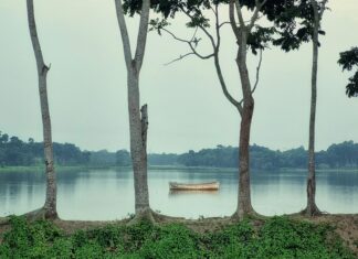 Teb 0 Faizli Kredi İle Hayallerinizi Gerçekleştirin! Fırsatlar Burada
