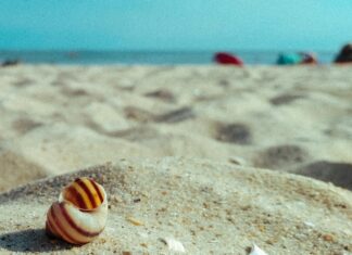 Kredi Faizleri Düşer Mi? Merak Edilen Önemli Detaylar!