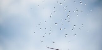 Kişisel Finans Yönetiminde Havadurumu Okumak: Finansal Karar Verme Stratejileri Reading Weather in Personal Financial Management: Financial Decision-Making Strategies