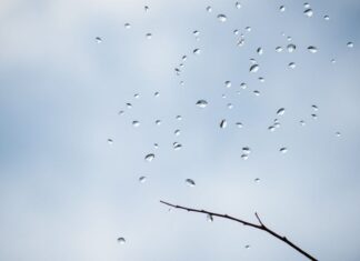 Kişisel Finans Yönetiminde Havadurumu Okumak: Finansal Karar Verme Stratejileri Reading Weather in Personal Financial Management: Financial Decision-Making Strategies