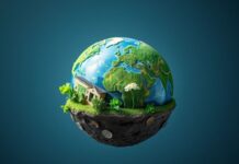 Kişisel Finanslar: Başarılı Bir Finansal Gezegen Nasıl Oluşturulur Personal Finance: How to Create a Successful Financial Planet